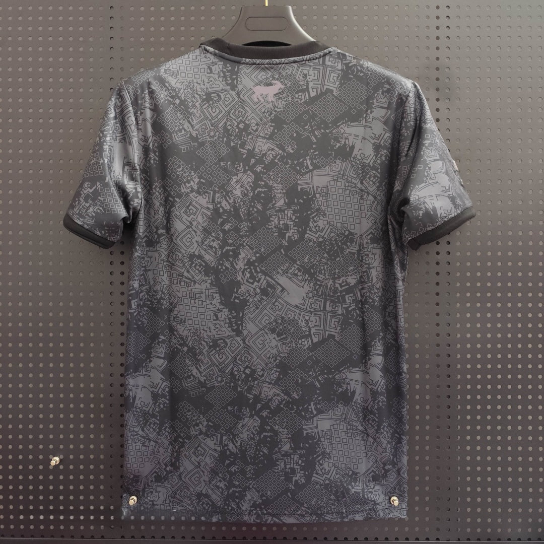 Maillot 25/26 Argentine Spécial gray