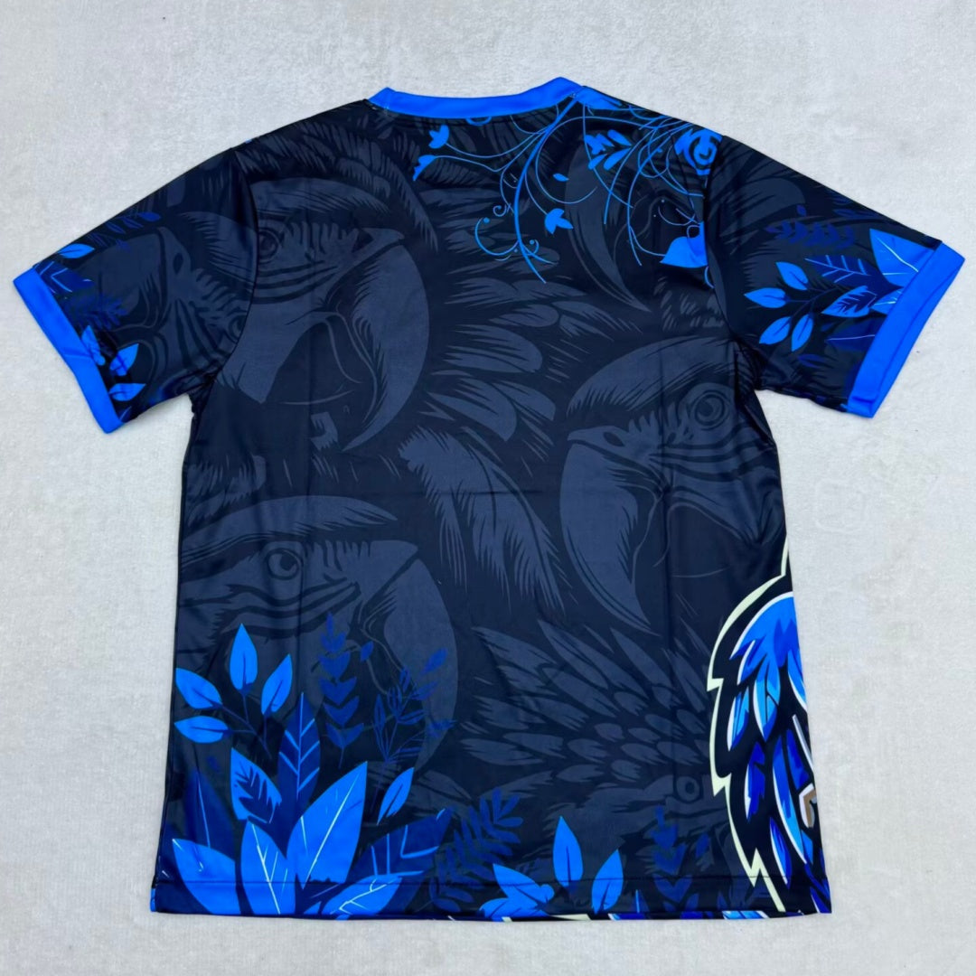 Maillot 25/26 Brésil  Spécial blue bird