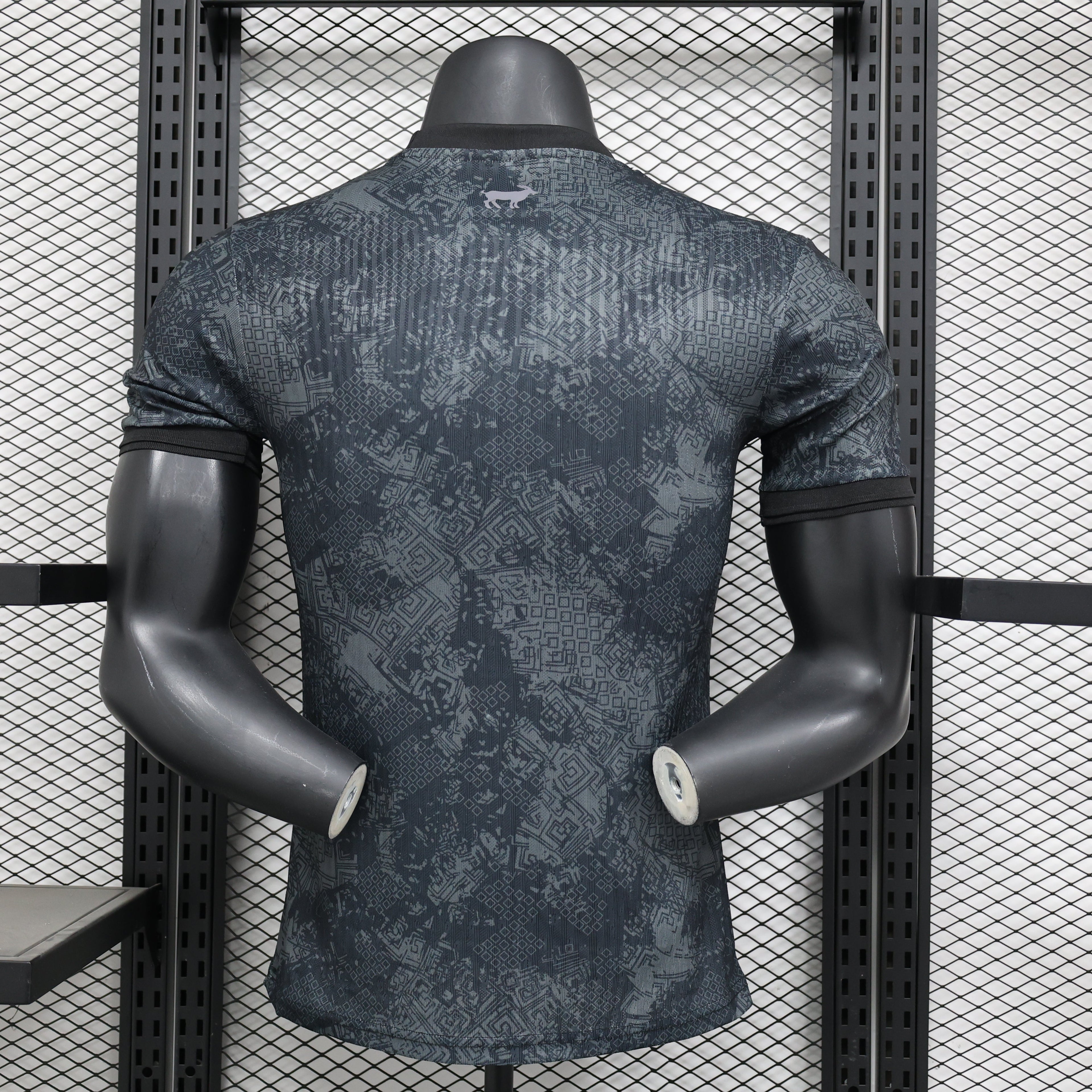 Maillot Player 24/25 Argentine Spécial